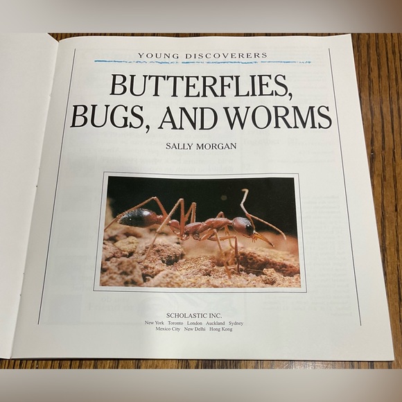 Painting Nature’s Little Creatures & Butterflies, Bugs & Worms BOOKS set - Picture 9 of 13